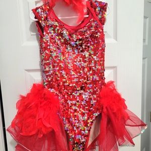 Feathered Sequin Dance Costume
